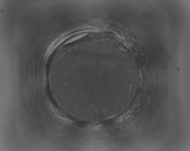 X0000077320247200611031712