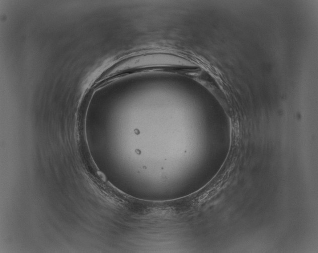 X0000077320248200611031712