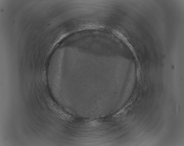 X0000077320249200611031712