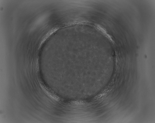 X0000077320250200611031712