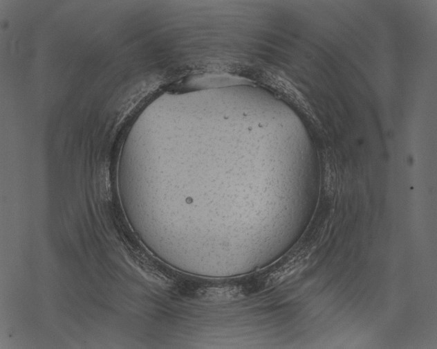 X0000077320251200611031712