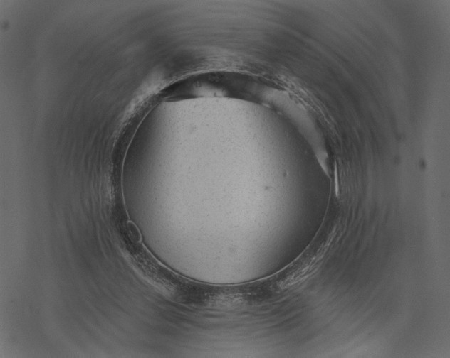 X0000077320252200611031712