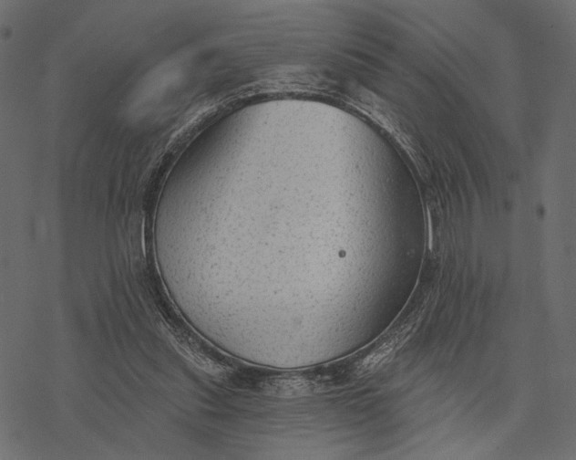 X0000077320253200611031712