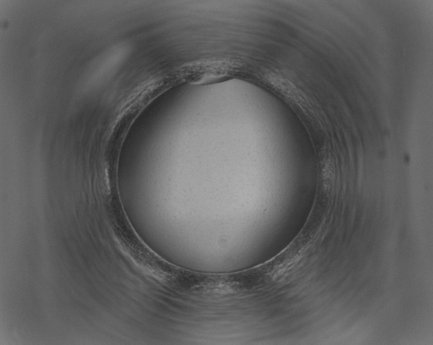 X0000077320254200611031712