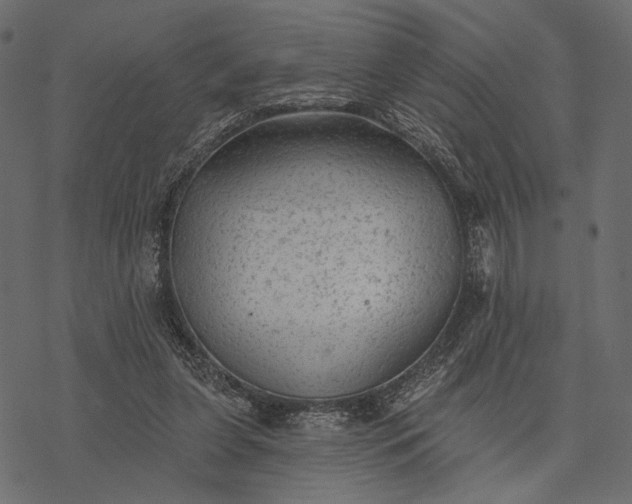 X0000077320255200611031713