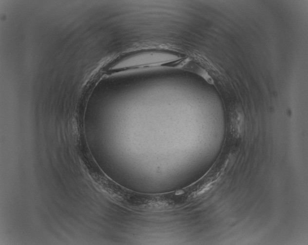 X0000077320256200611031713