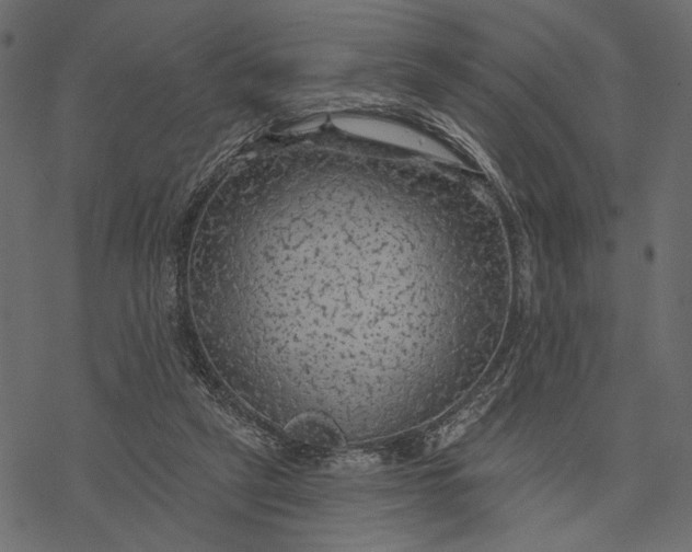 X0000077320257200611031713