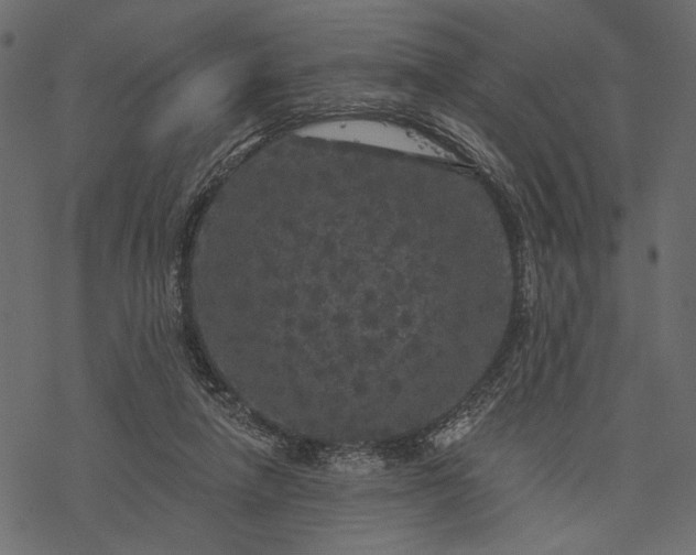 X0000077320258200611031713