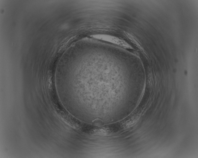 X0000077320259200611031713