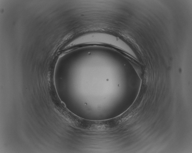 X0000077320260200611031713