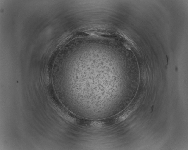 X0000077320261200611031713