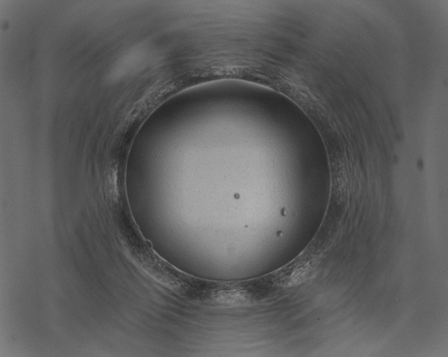 X0000077320262200611031713