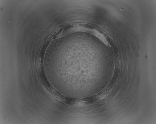 X0000077320263200611031713