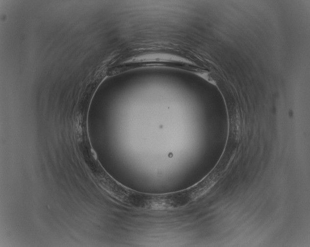 X0000077320264200611031713