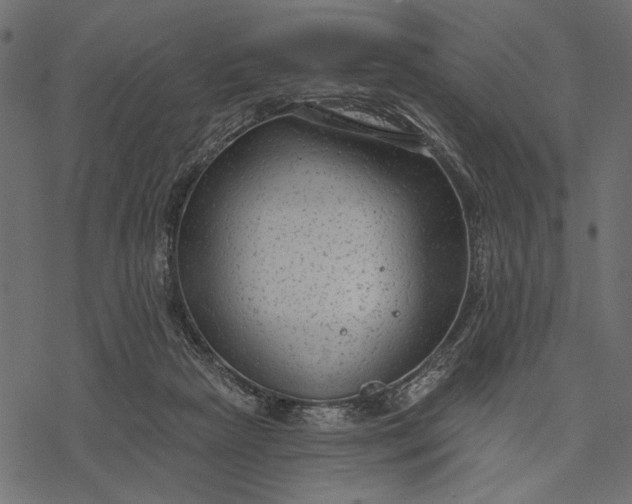 X0000077320265200611031713