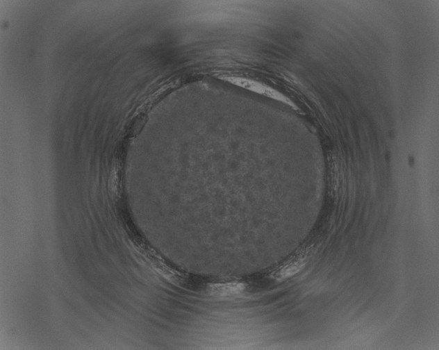 X0000077320266200611031713