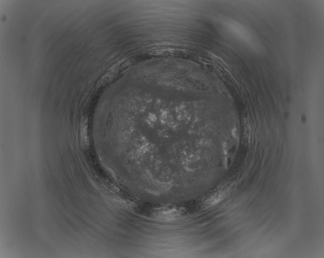 X0000077320267200611031713