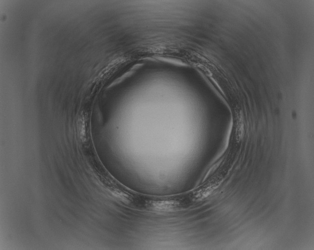 X0000077320268200611031713