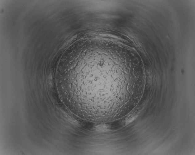 X0000077320269200611031713