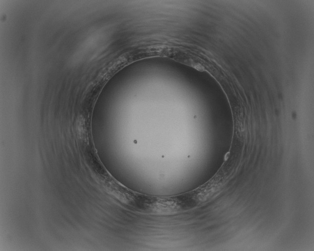 X0000077320270200611031713