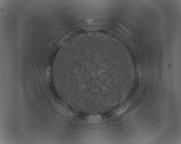 X0000077320271200611031713