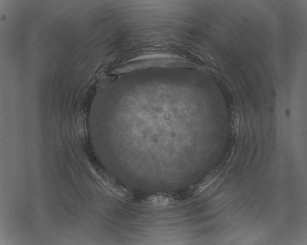 X0000077320272200611031713