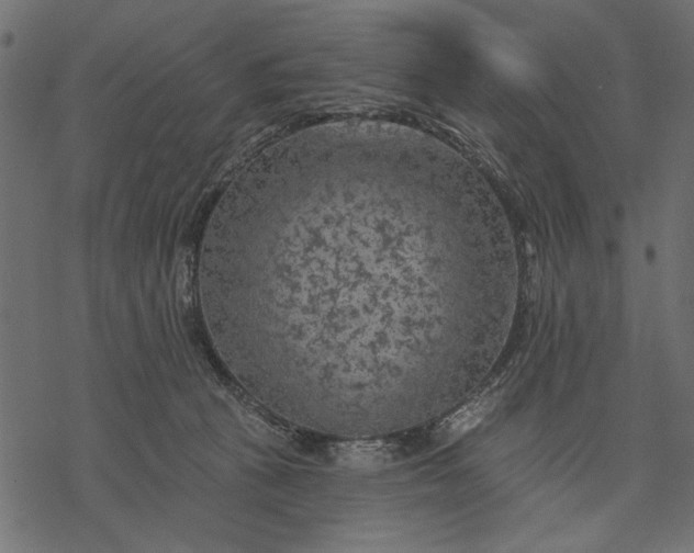 X0000077320273200611031713