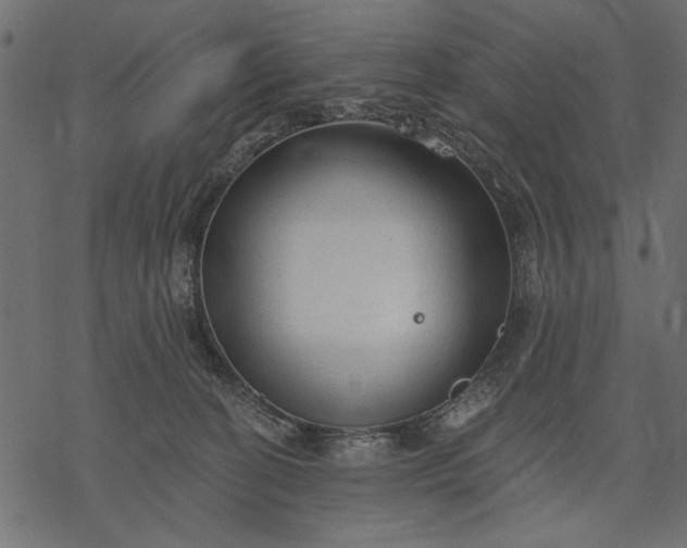 X0000077320274200611031713