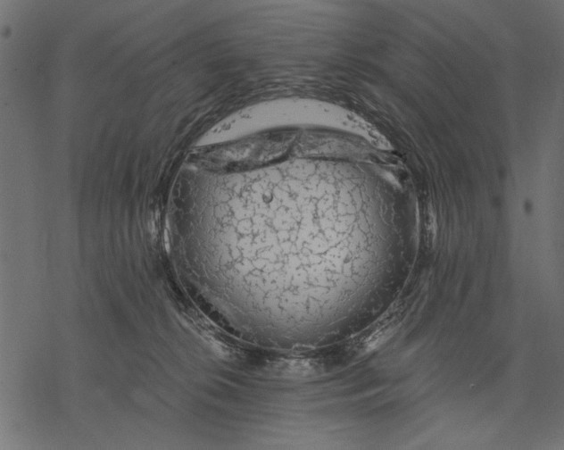 X0000077320276200611031713