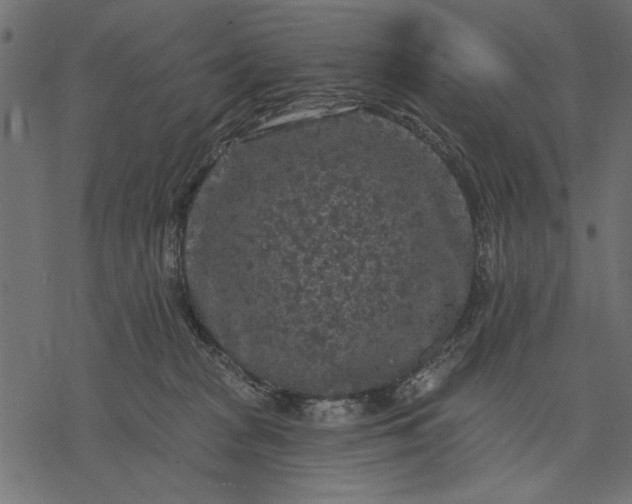 X0000077320277200611031713