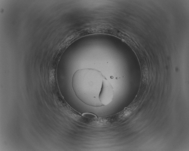 X0000077320278200611031713