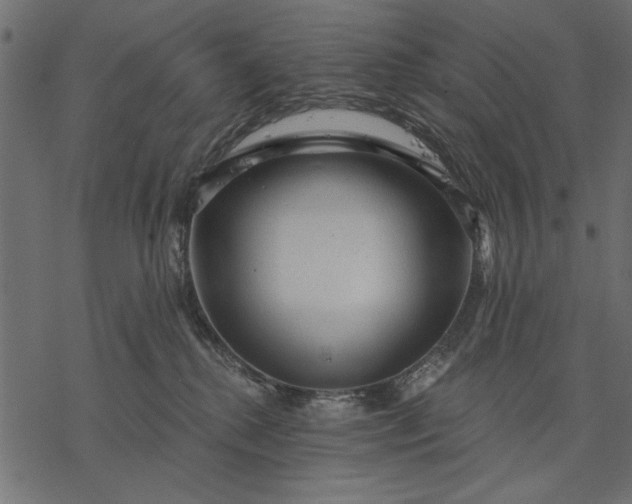 X0000077320280200611031713