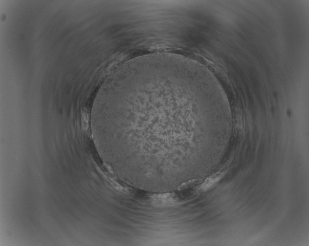 X0000077320281200611031713