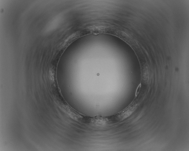 X0000077320282200611031713