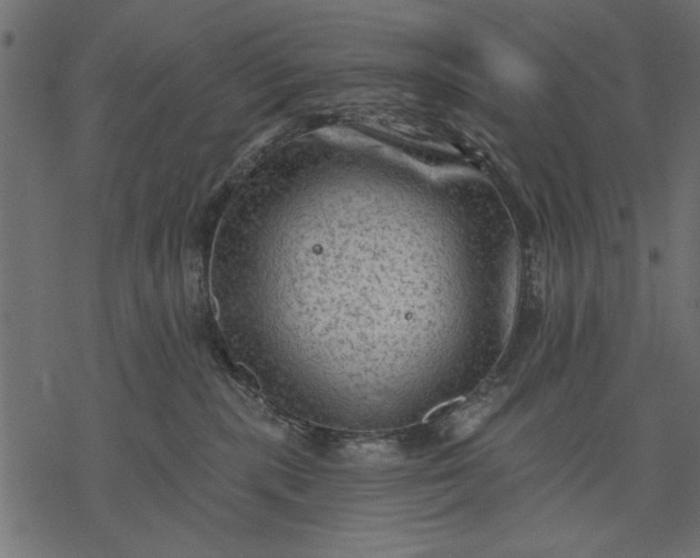 X0000077320283200611031713