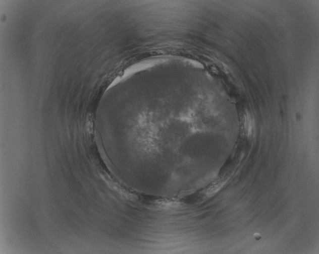 X0000077320284200611031713