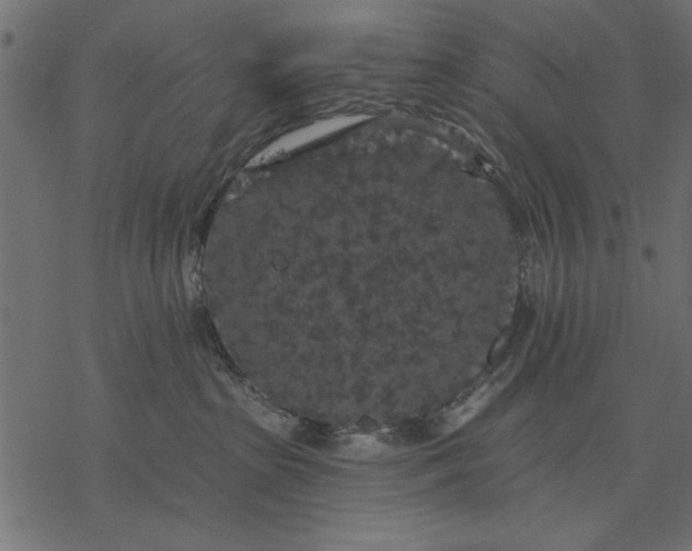 X0000077320285200611031713