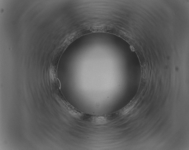 X0000077320287200611031713