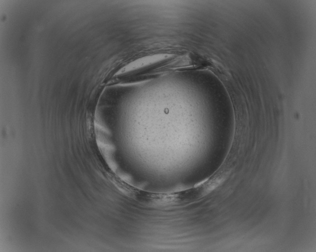 X0000077320288200611031713