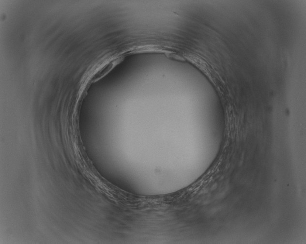 X0000077320289200611031712