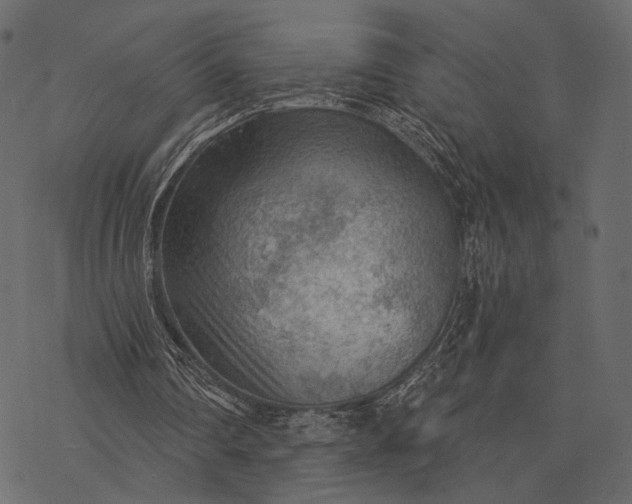 X0000077320290200611031712