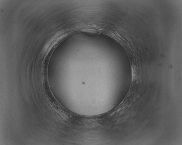 X0000077320291200611031712