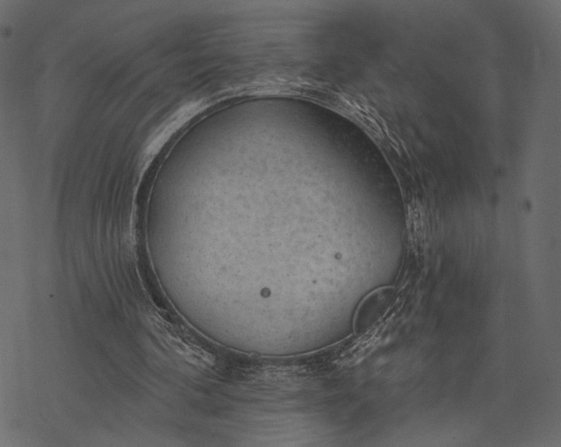 X0000077320292200611031712