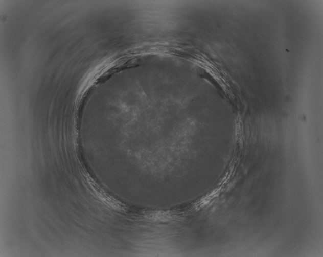 X0000077320293200611031712