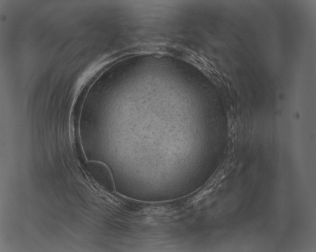 X0000077320294200611031712