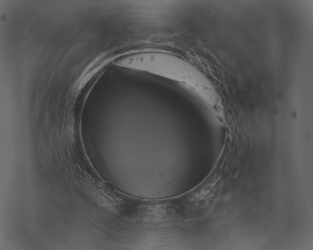 X0000077320295200611031712