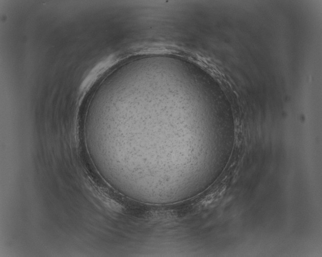 X0000077320296200611031712