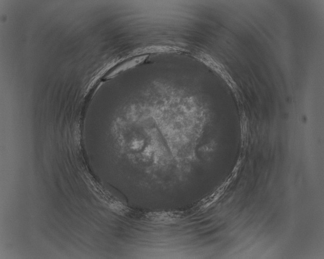 X0000077320297200611031712