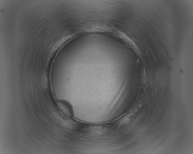 X0000077320298200611031712