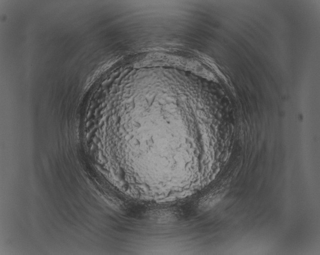 X0000077320299200611031712